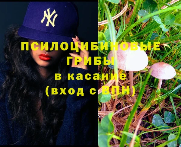 бошки Сосновоборск
