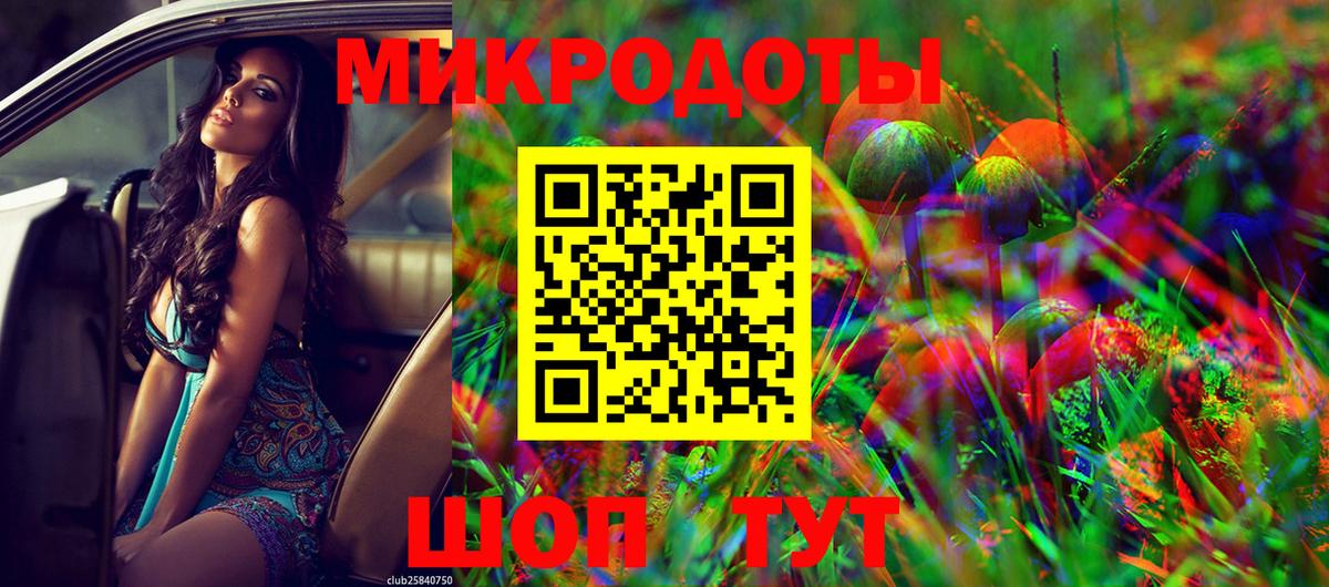 Псилоцибиновые грибы Psilocybine cubensis Кузнецк